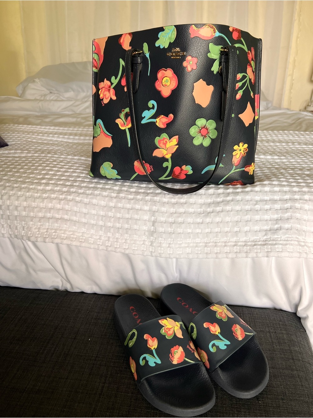 Coach dreamy land Tote with Matching Slides